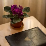 Hotell Antea Oldcity -special Category Istanbul