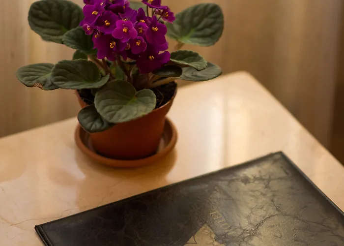 Hotel Antea Oldcity -special Category Stambuł