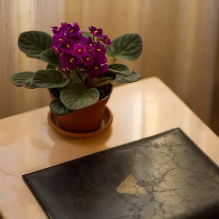 Hotel Antea Oldcity -special Category Istambul